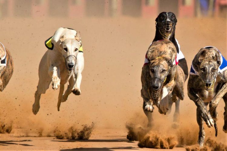 Top Winners/Losers of February; Binance Coin Wins the Race