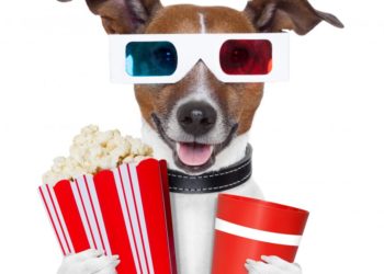 Analyst Claims It’s “Showtime” For Ethereum