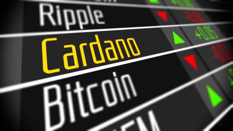 Novogratz accepts a call with Hoskinson on why Cardano is not overvalued