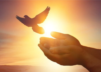 Bitcoin Forms Bullish Pattern, Why BTC Could Climb Above $58K