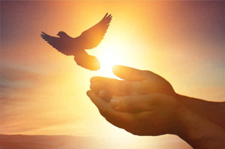 Ethereum Dips Below $1,800, Why Bulls Are Still In Control