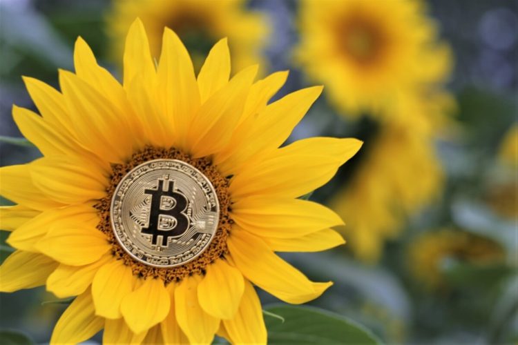 Bitcoin Market Changed ‘Radically’ & Volatility Decline Attracts Institutions