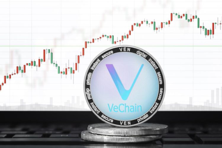 VeChain is the most undervalued cryptocurrency, new poll shows