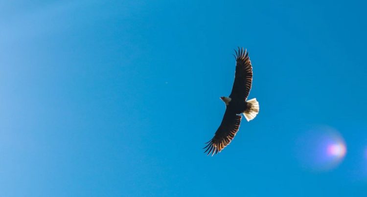 Why ADA could run hotter than Bitcoin and make 10x gains