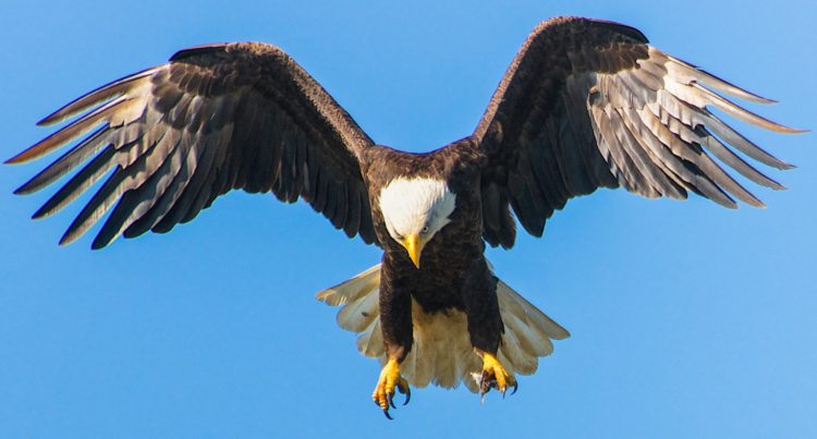 This Is How Cardano’s First DEX Will Try To Disrupt DeFi