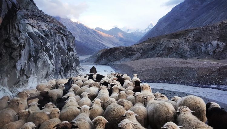 Is Crypto Ready For The Incoming Herd