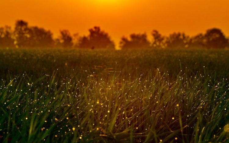 How IOTA Could Reach $1B In Token Locked Before Chrysalis 2