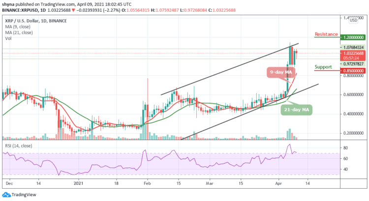 XRP/USD Faces a Crucial Support After Touching the Daily High at $1.075
