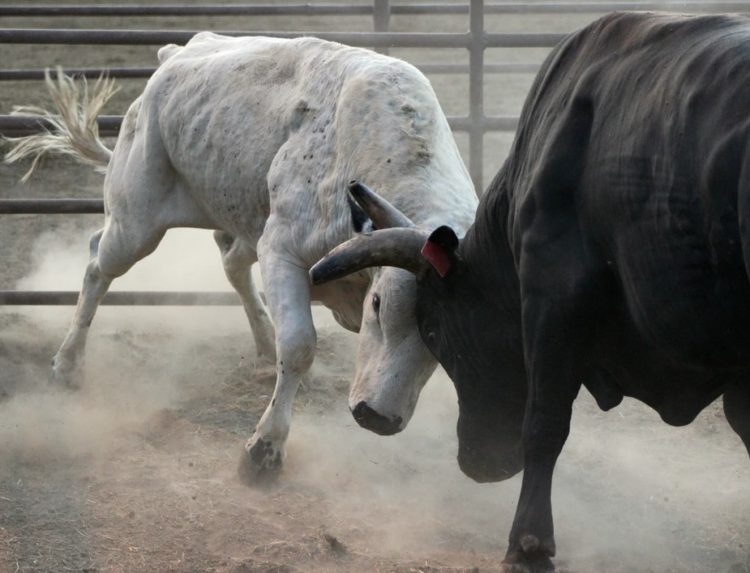 How DeFi Season Could Send YFI To $270,000 Per Token