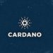 Cardano gets a significant boost after Shopify and WooCommerce Integration