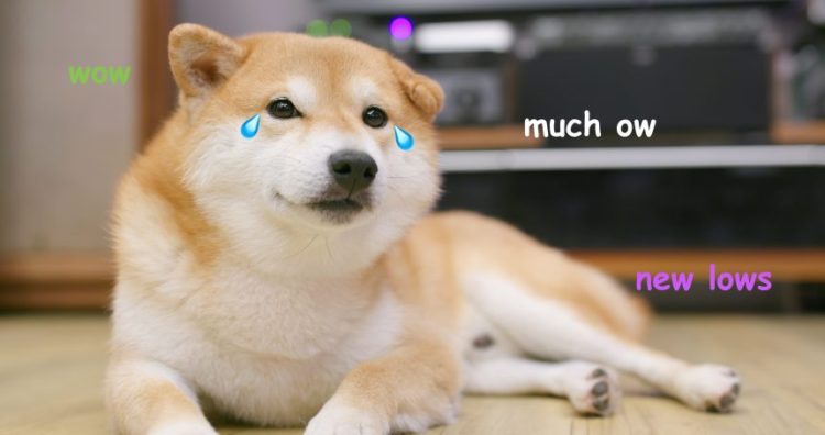 The Two Signals That Say Dogecoin Holders Are In For “Much Ow”