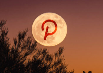 Confused about which Polkadot (DOT) project to invest in? This ‘PINT’ aims to solves that