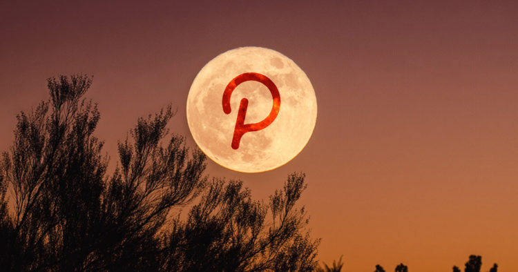 Confused about which Polkadot (DOT) project to invest in? This ‘PINT’ aims to solves that