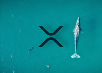 Data shows “whales” are buying XRP as public sentiment increases
