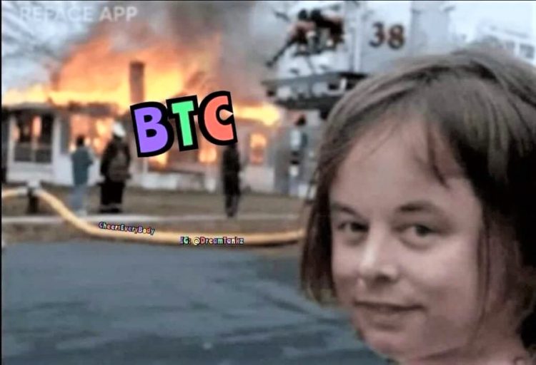 Much Red, Very Down, Super Panic and 20 Crypto Jokes