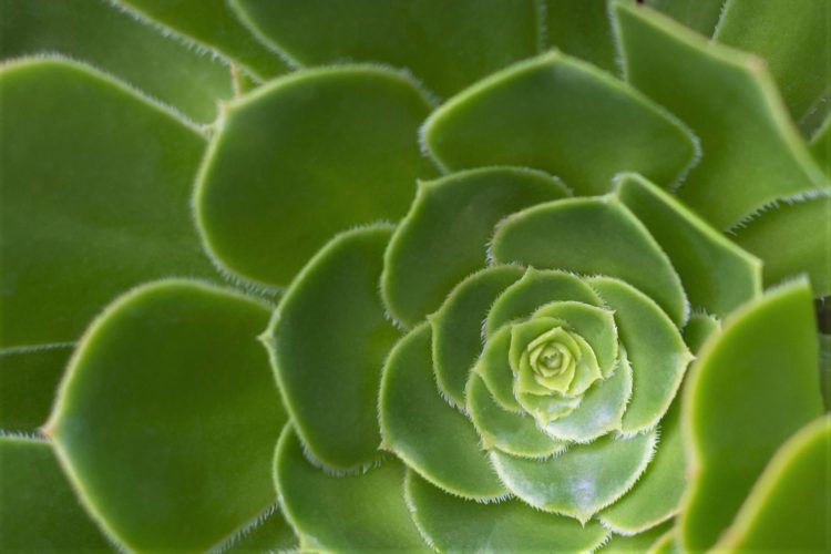 RSK is Bitcoin’s Fastest Growing Layer, Not Liquid nor Lightning