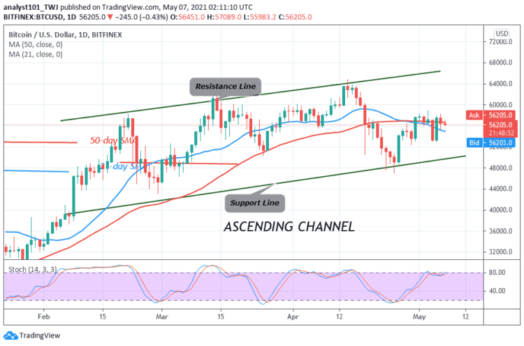 BTC/USD Is Stuck between $53,000 and $58,000 as Bears and Bulls Continue Unending Price Tussles