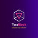 TeraBlock Raises $2.94 Million from its $TBC token IDO on BSC Pad