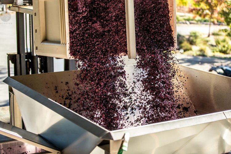 Vitalik Buterin Dumps His SHIB, Price Tanks 30% In 1 Hour