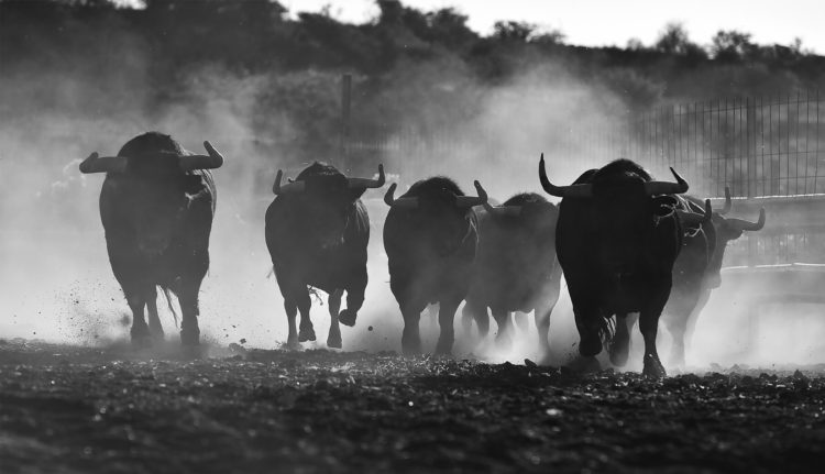 Five Signs That The Bitcoin Bottom Is In