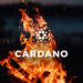 Cardano trader loses $45 million after ADA plunges 22%