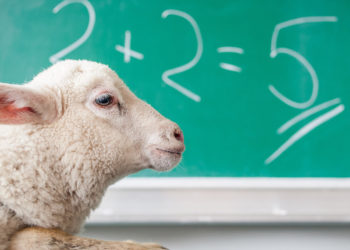 This crypto scammer ended up scamming himself on Pancakeswap