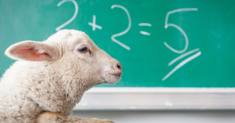 This crypto scammer ended up scamming himself on Pancakeswap