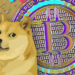 Survey: 1 in 4 Americans consider Dogecoin the ‘new Bitcoin’