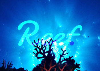 Reef Finance is revolutionizing the ‘IDO’ Model with new ReefStarter Platform