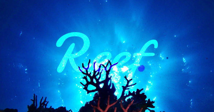 Reef Finance is revolutionizing the ‘IDO’ Model with new ReefStarter Platform
