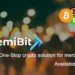 RemiBit Gives Control Back to The Users, How Any Business Can Receive Crypto Payments