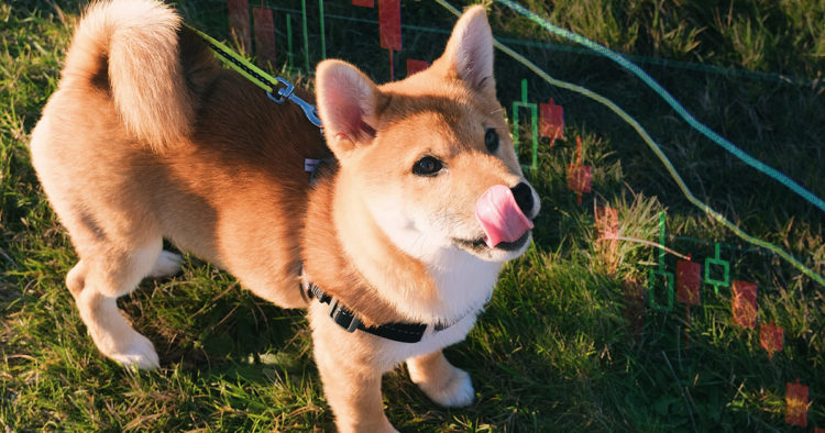 Traders lose $46.5 million on first day of SHIB futures