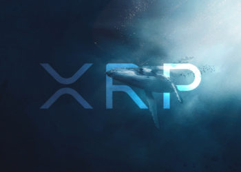 Ripple reports strong XRP whale accumulation despite ongoing SEC lawsuit