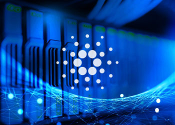 Cardano (ADA) adds 50,000 new ‘staking’ addresses in just 3 weeks