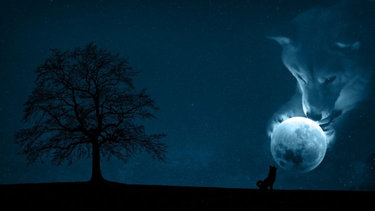 Coinbase Pro To List Shiba Inu, The “Dogecoin Killer” Price Soars