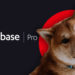 Shiba Inu coin (SHIB) dumps after Coinbase Pro snub