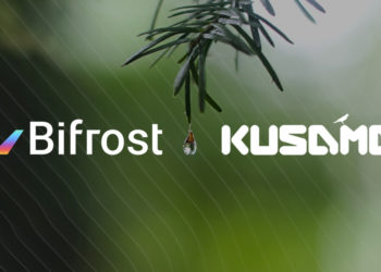 This DeFi app helps you access the liquidity of staked Polkadot and Kusama