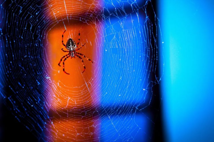 ‘Don’t Be Lulled’ as European Commission Mulls a Crypto KYC Trap