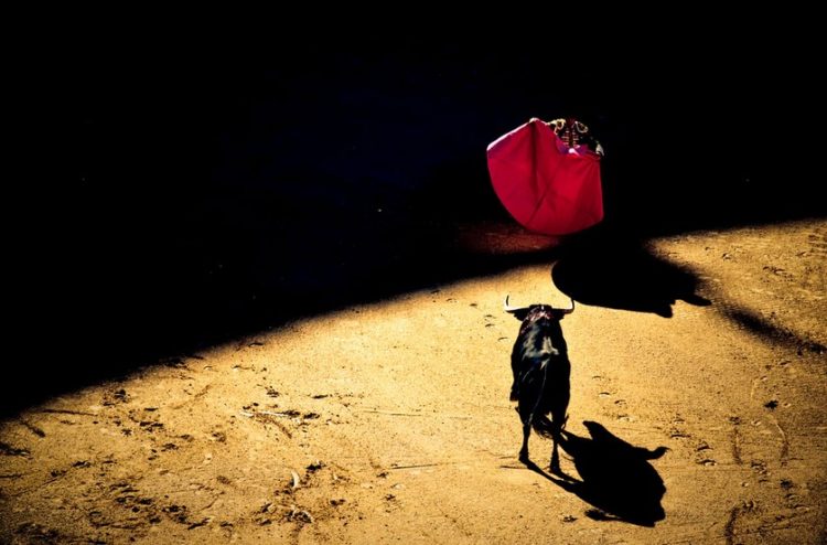 Bulls Back? Why Bitcoin Miners Could Be Key To Break $40K