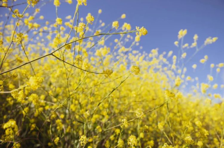 This Token Thrives With A 38% Profit While Ethereum Bleeds