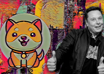 Little known ‘Baby Doge Coin’ jumps 100% after Musk tweet