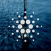 Cardano (ADA) testnet gets ‘hard forked’ to AlonzoWhite node