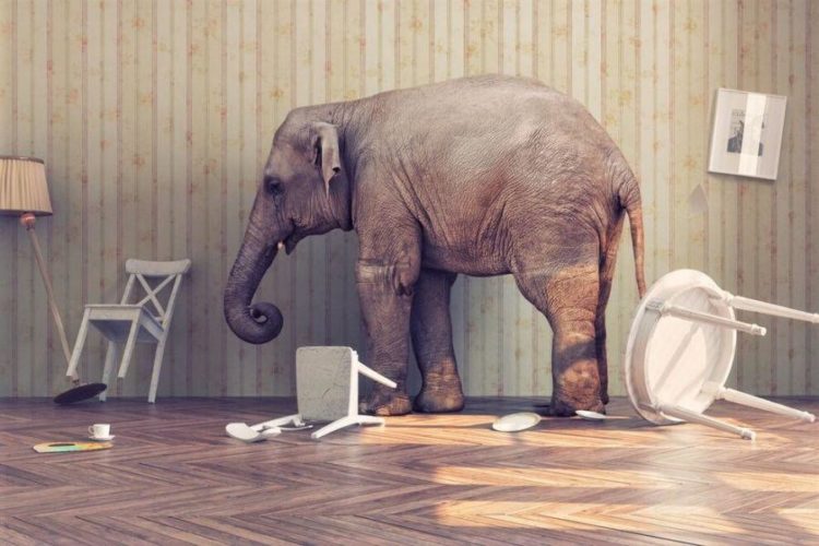 Regulators Must Make Sea Change on Crypto, and IMF Is Ready To Engage