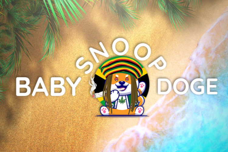 BabySnoopDoge, The Biggest Charity-Based Memecoin For Marijuana