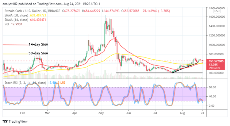 BCH/USD Market Valuation Hovers at $600