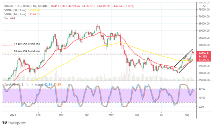 Bitcoin (BTC/USD) Market Attempts Valuation Downsizing