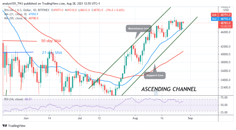 BTC/USD Survives Rejection at $49K as It Revisits Recent High