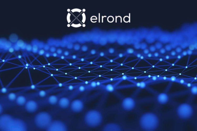 Elrond Price at $124.78 after 4.4% Gains – How to Buy EGLD