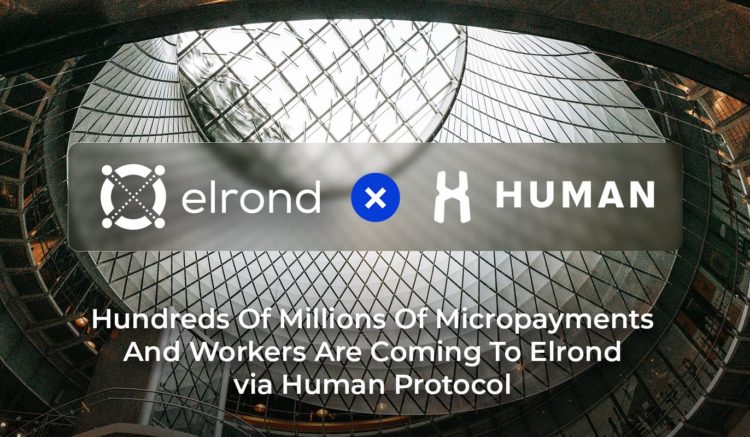 HUMAN Protocol and Elrond Network Team Up to Excel Machine Learning