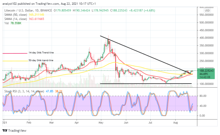 LTC/USD Price Trades Undervalued $200